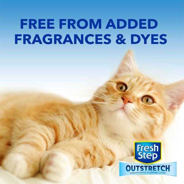 Concentrated Clumping Cat Litter Unscented N4318