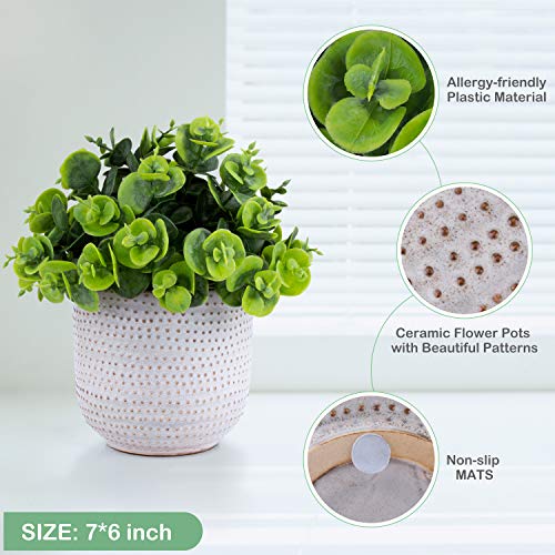 2 Pack Artificial Succulents in Ceramic Planters Fake Greenery Potted Z588980