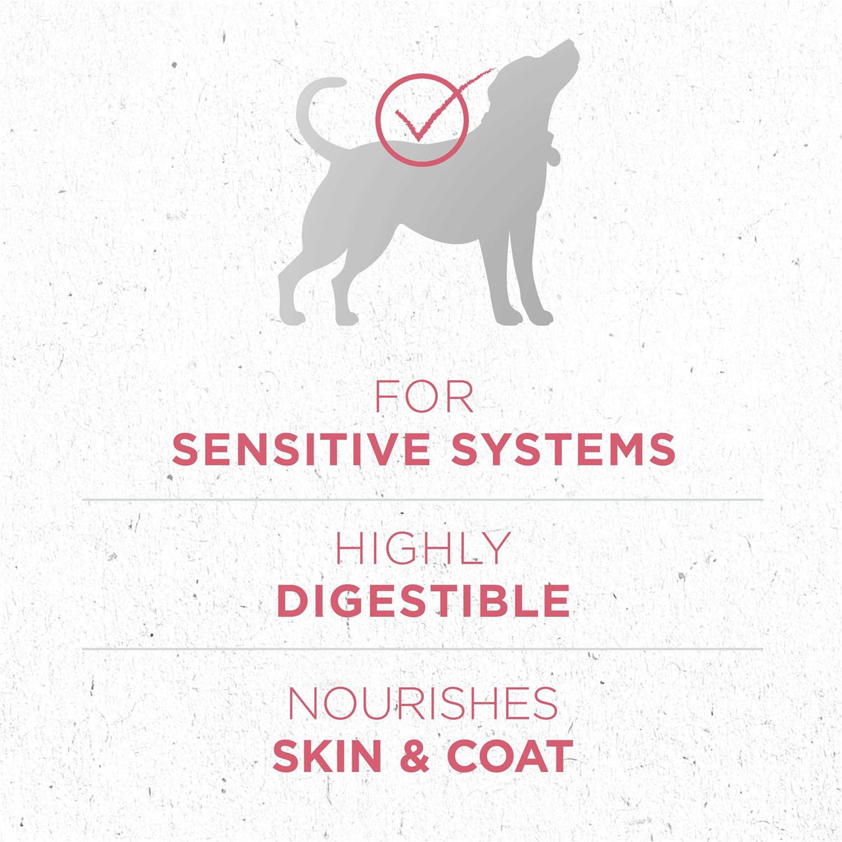 Dry Dog Food V80795