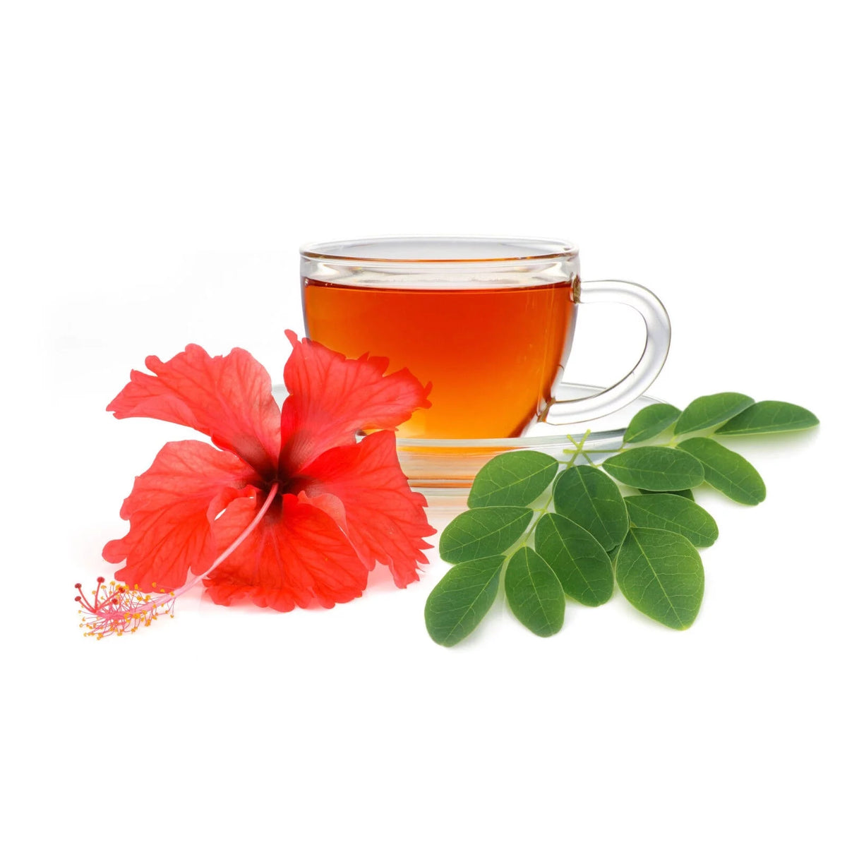 Moringa Hibiscus Herbal Tea Bags (100) P15221