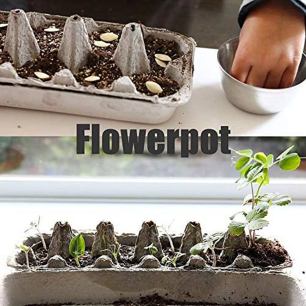 [18 Pack] Printed Pulp Egg Cartons T931