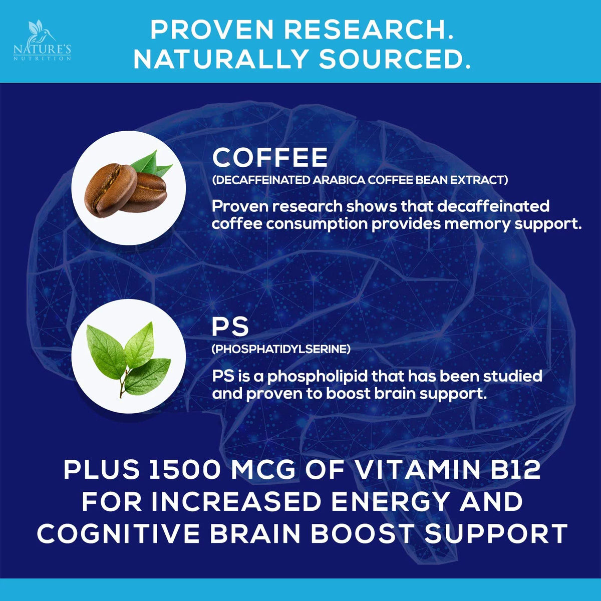 Nootropic Brain Booster Memory Supplement Gummy with B12, Phosphatidylserine, Coffee Extract - 120 Gummies T7074