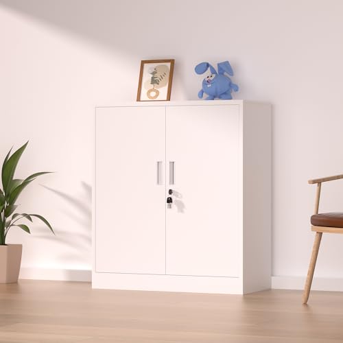 Black Metal Storage Cabinet with Locking Doors and 2 Adjustable Shelves Y3749