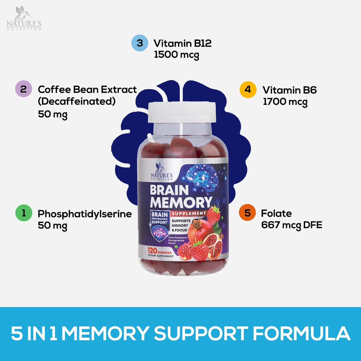 Nootropic Brain Booster Memory Supplement Gummy with B12, Phosphatidylserine, Coffee Extract - 120 Gummies T7074