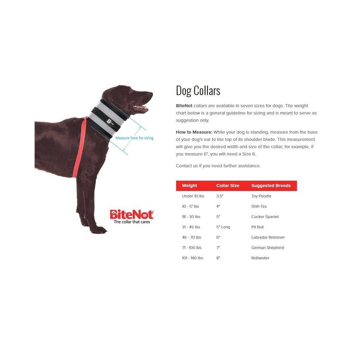 Pet Collar Q12450