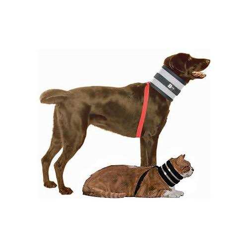Pet Collar Q12450