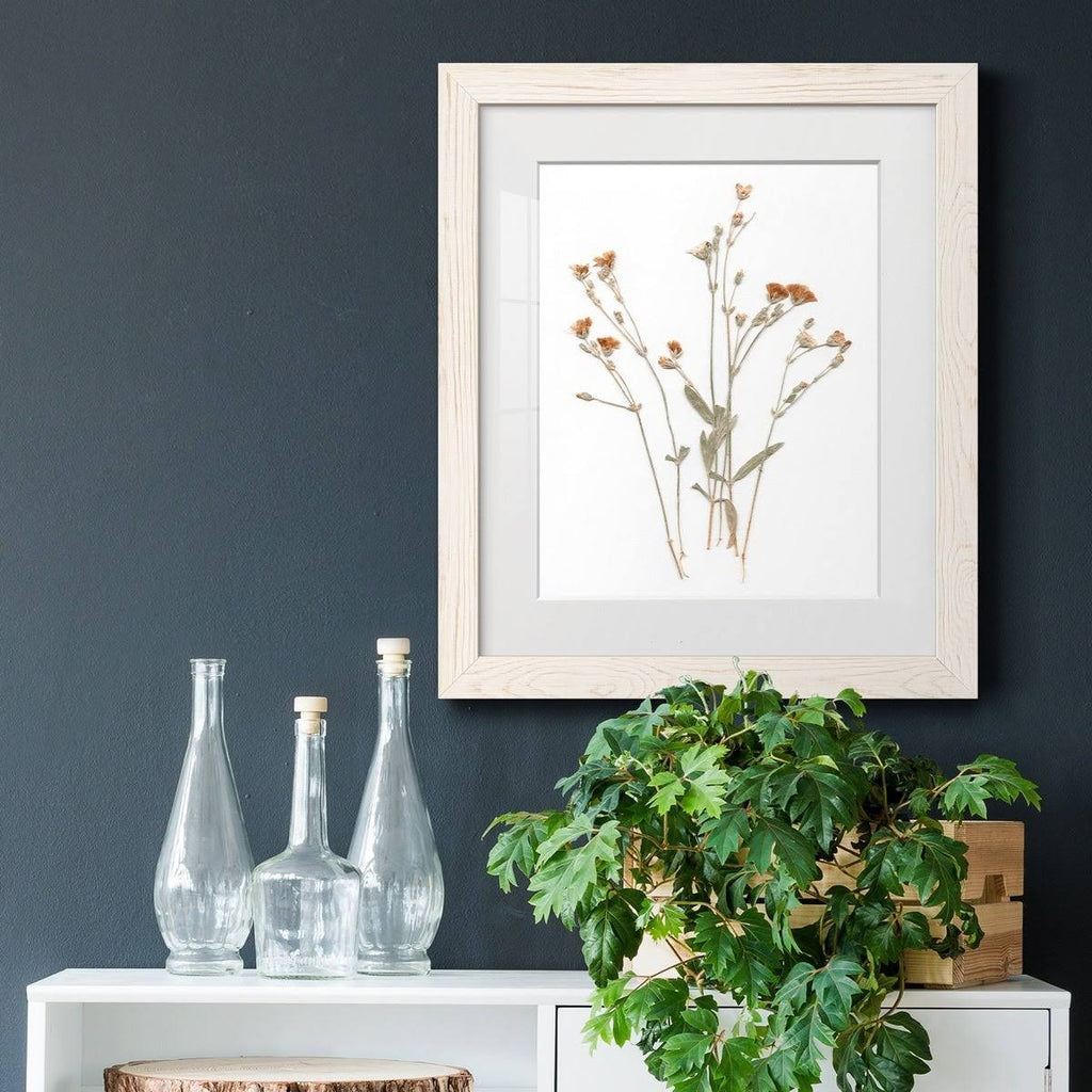 Pressed Botanical Framed Print - 27.5X37.5 - Grey H403