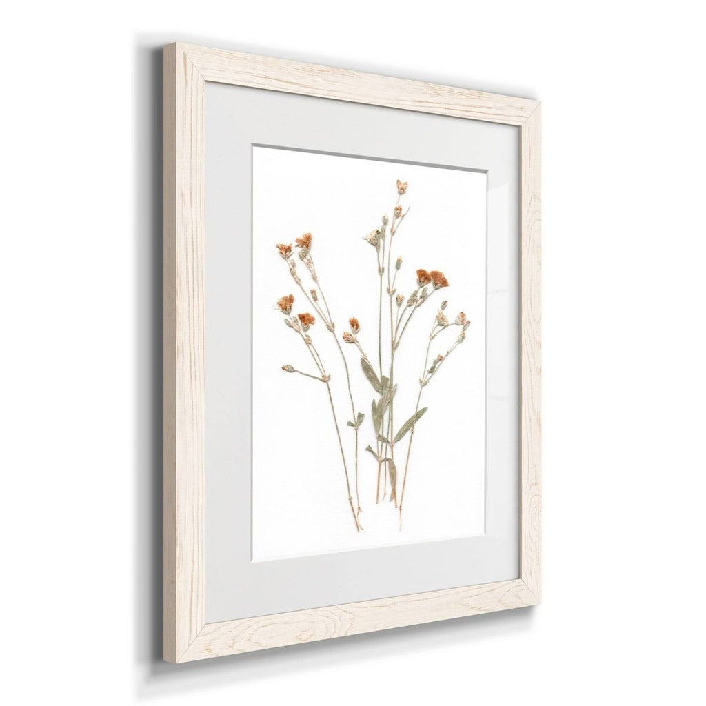 Pressed Botanical Framed Print - 27.5X37.5 - Grey H403