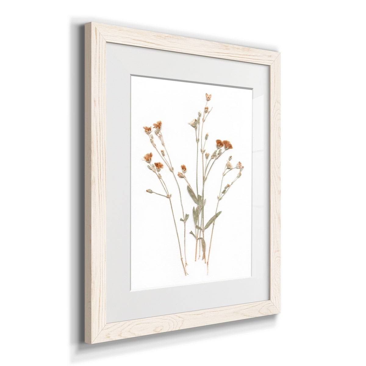 Pressed Botanical Framed Print - 27.5X37.5 - Grey H403