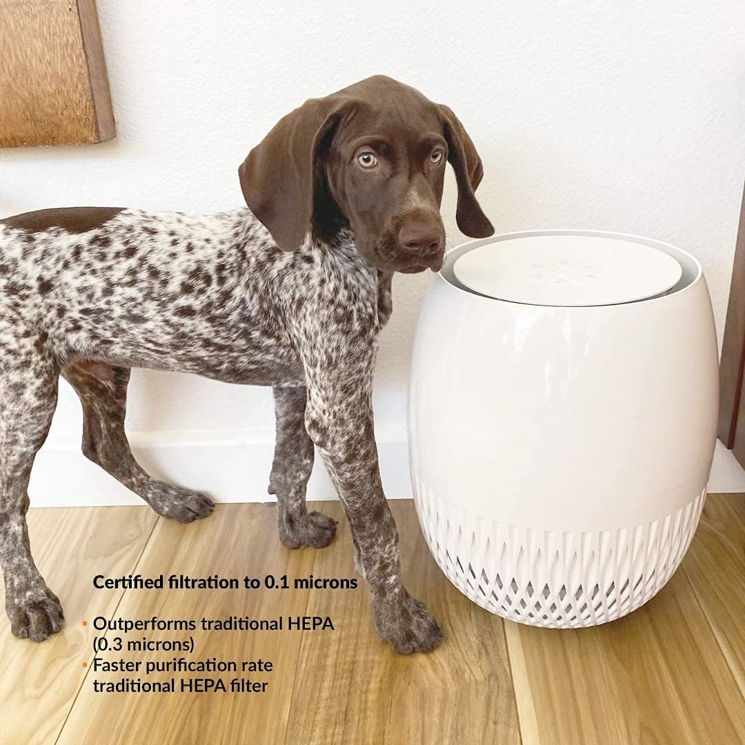 Air Purifier with HEPA Filter G7665