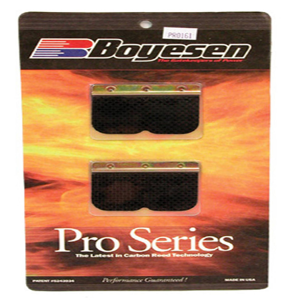Dirtbike Reeds E59588