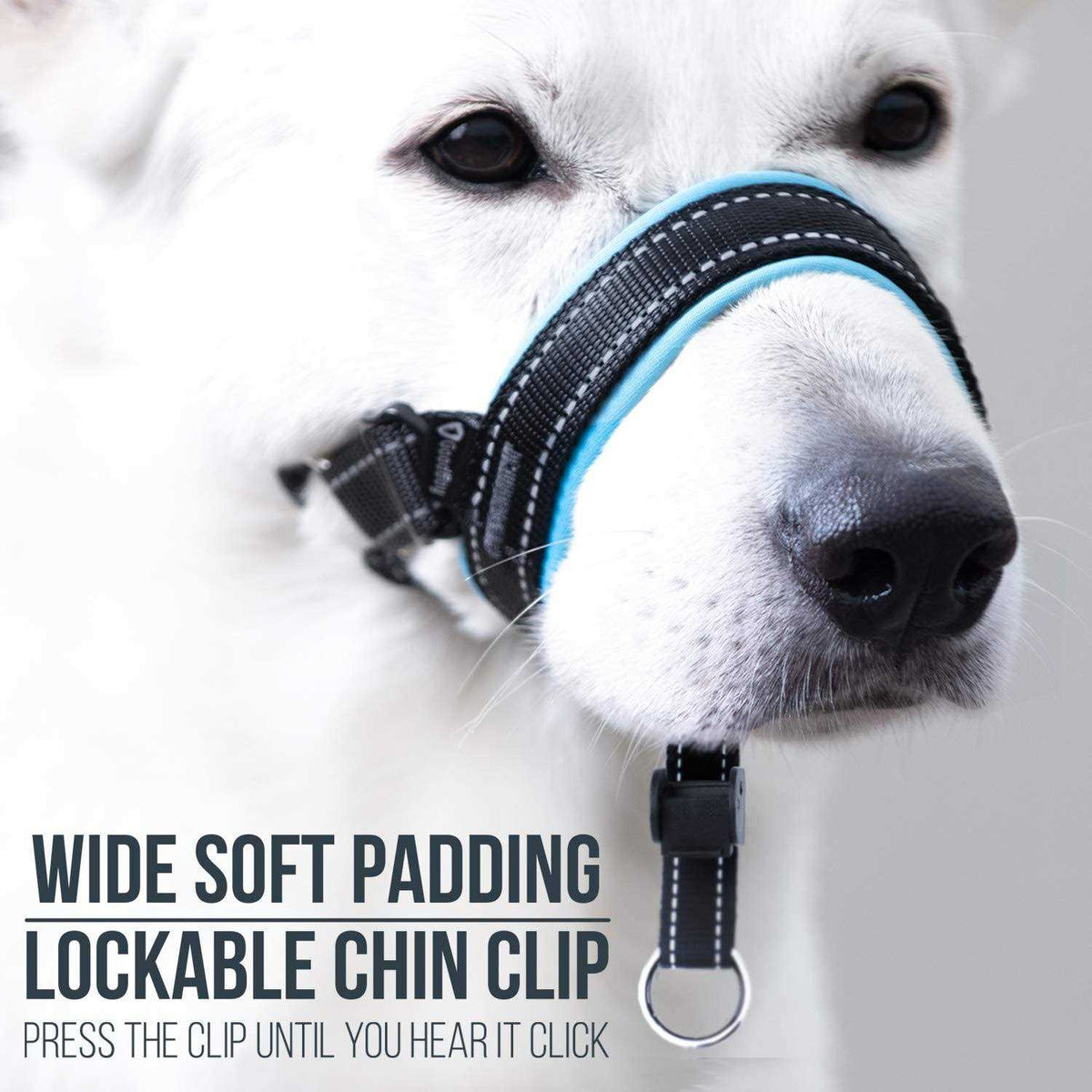 Dog Head Halter with Safety Strap T175216