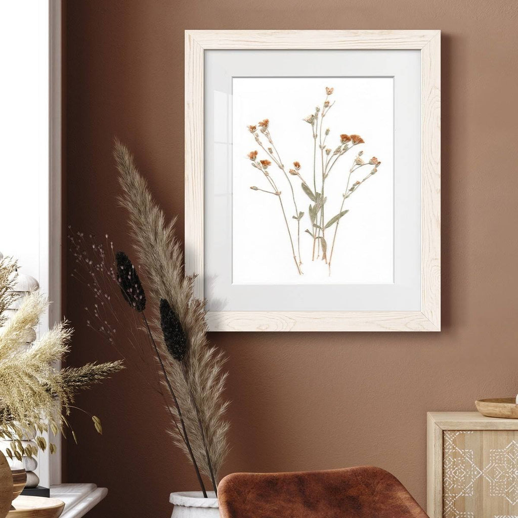 Pressed Botanical Framed Print - 27.5X37.5 - Grey H403
