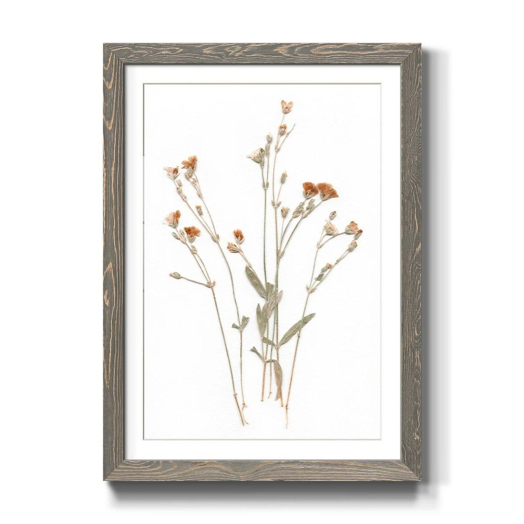 Pressed Botanical Framed Print - 27.5X37.5 - Grey H403