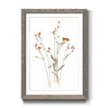 Pressed Botanical Framed Print - 27.5X37.5 - Grey H403