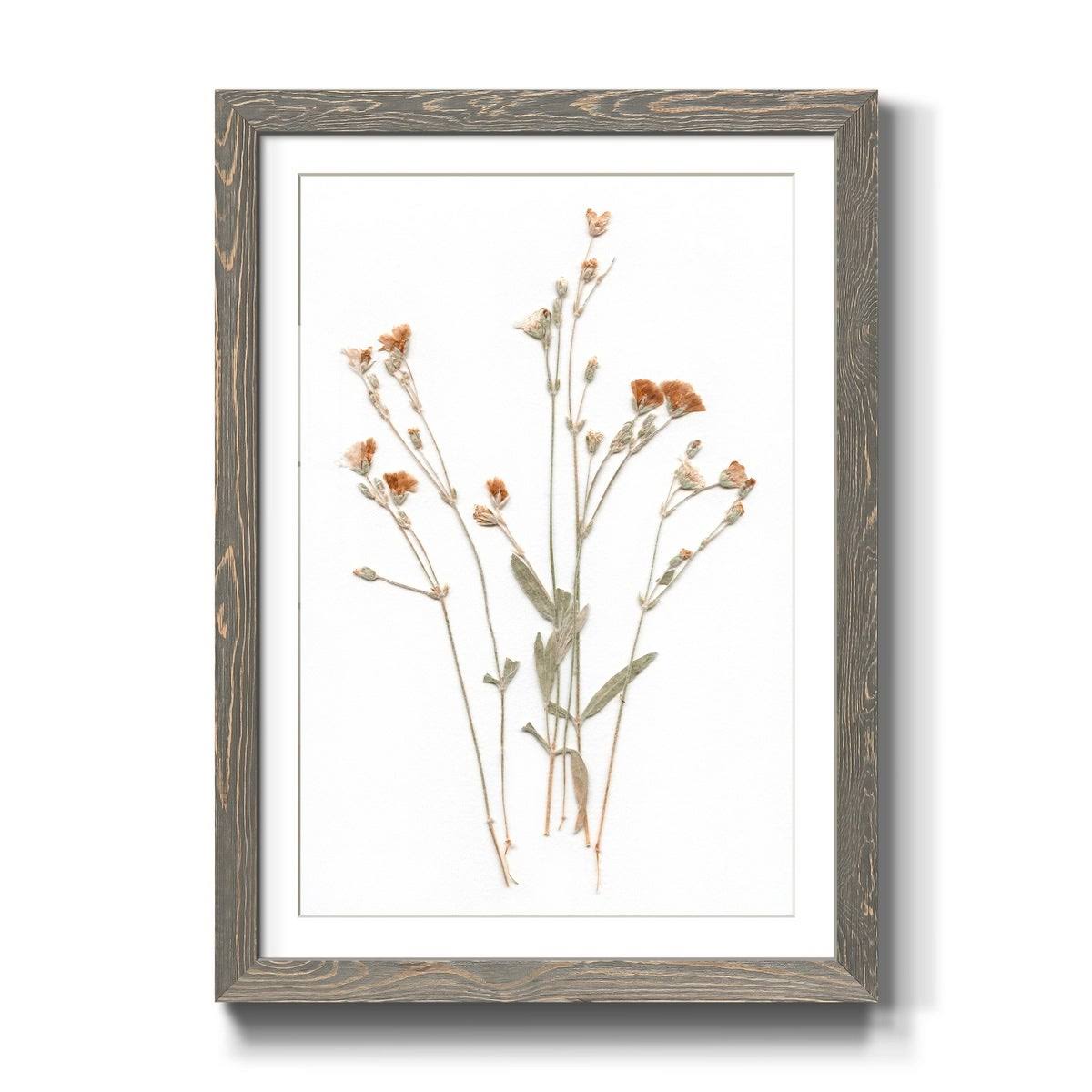 Pressed Botanical Framed Print - 27.5X37.5 - Grey H403