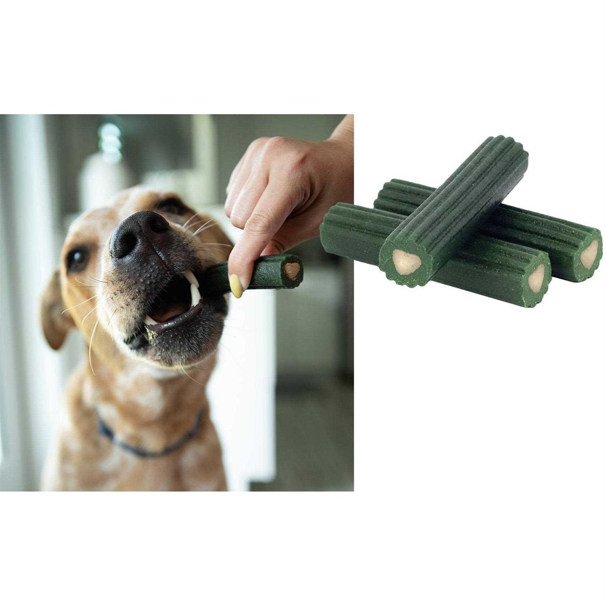 Large Dental Dog Treats A6615