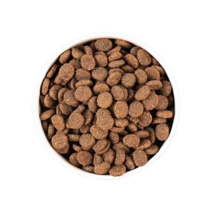 Smoked Salmon with Ancient Grains Dry Dog Food R500211