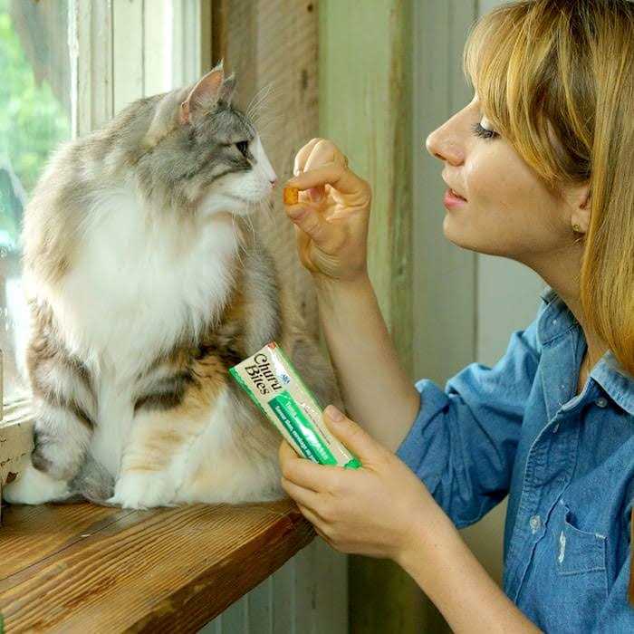 Chicken Recipe Cat Treat Z972384