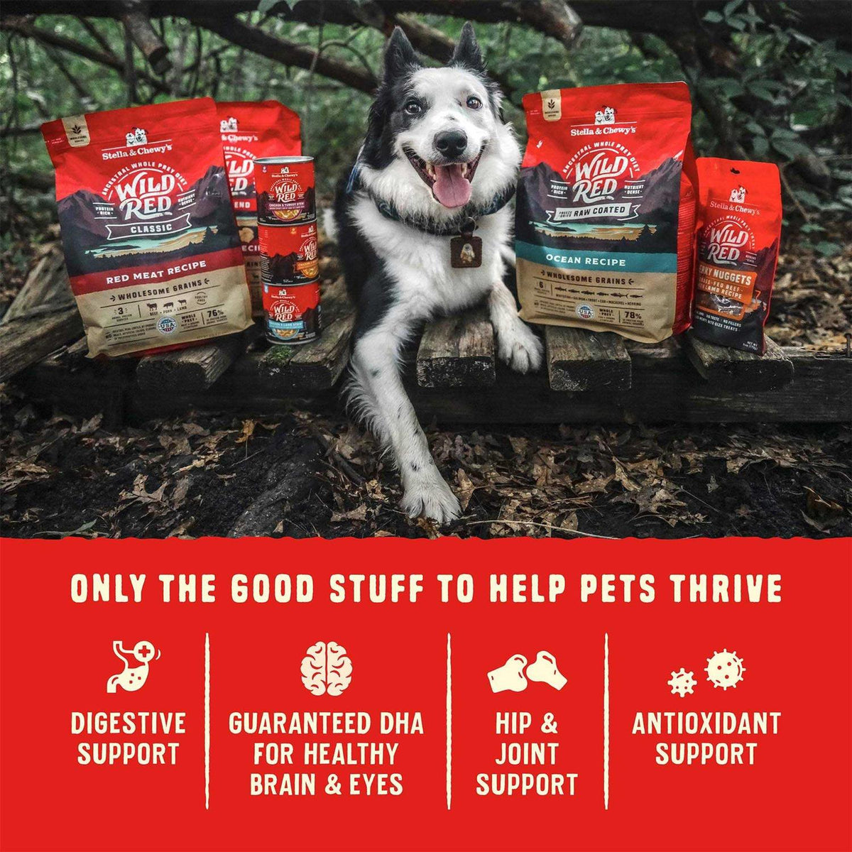 Grain Free High Protein Dry Dog Food M10040