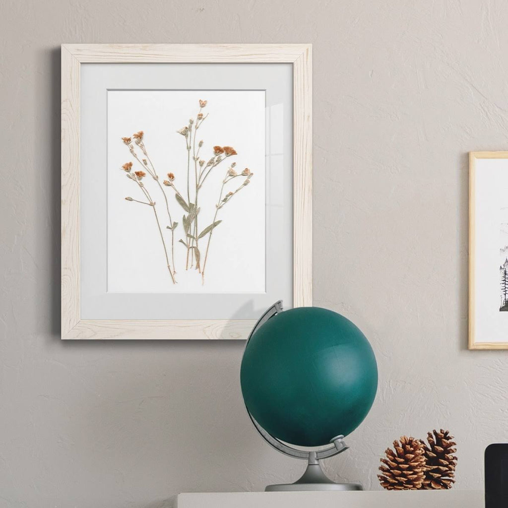 Pressed Botanical Framed Print - 27.5X37.5 - Grey H403