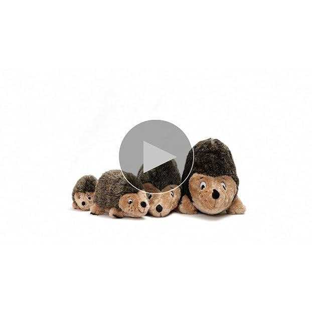 Plush Dog Toy B863271