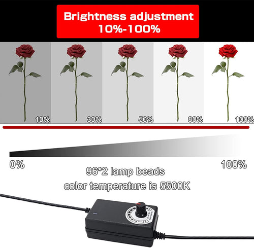 16"/40cm Portable Photo Studio Light Box with 6 Color Backdrops and 3 Light Filter Pack of 2 O34128