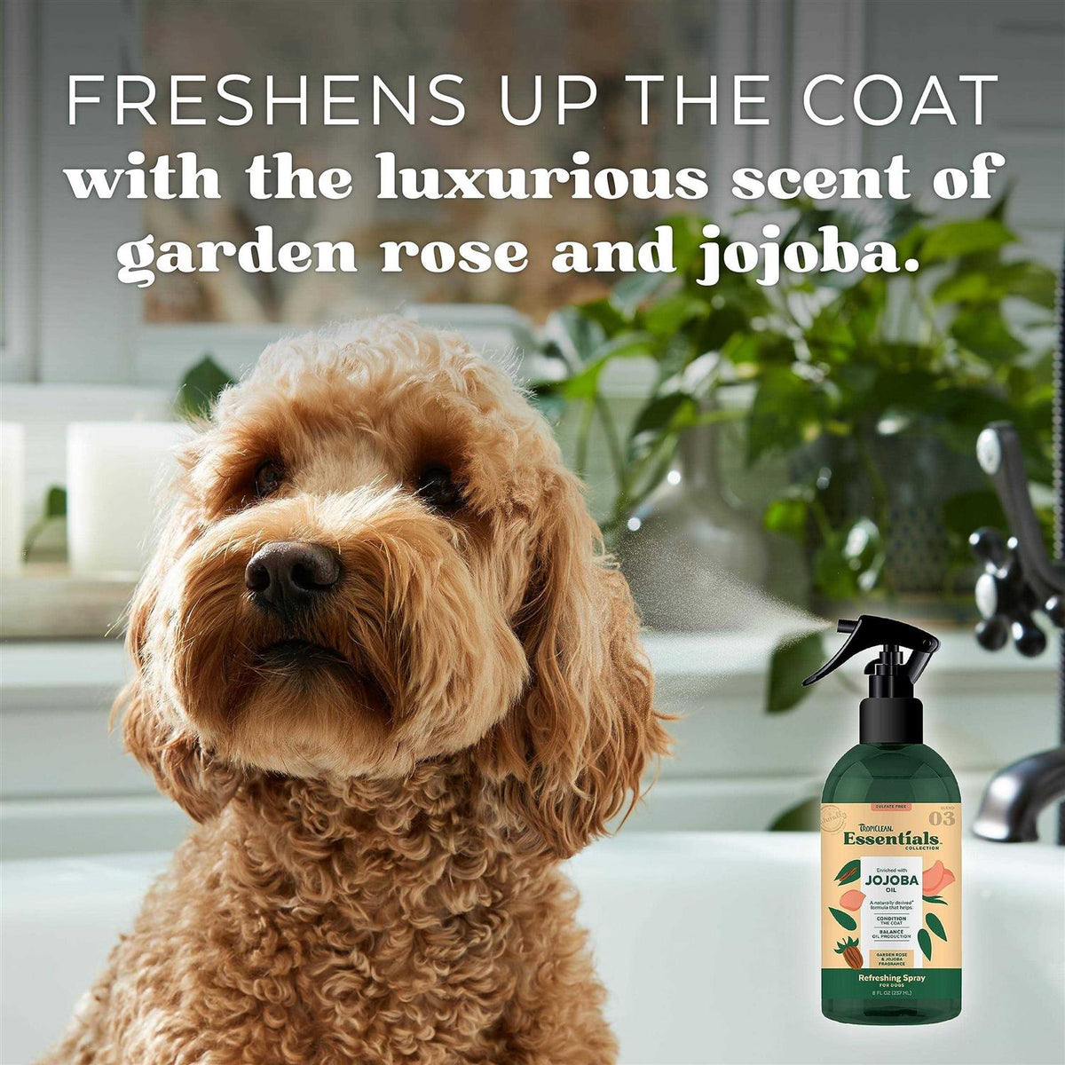Jojoba Oil Deodorizing Spray R841327
